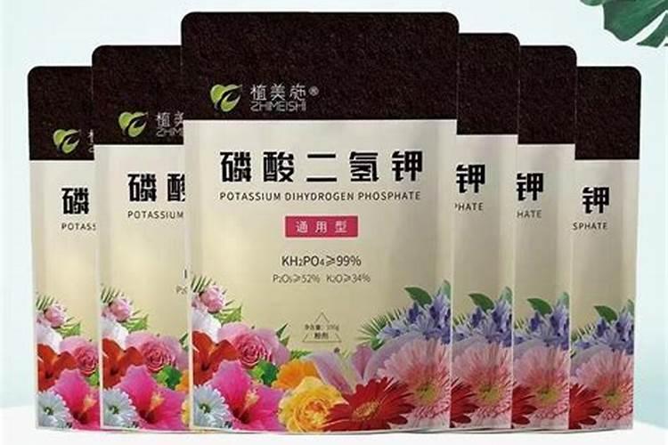 桉树用什么肥料最好