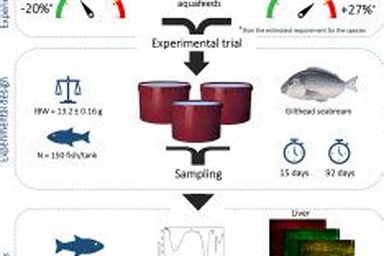硼肥对植物有什么作用,怎么控制用量避免烧根？