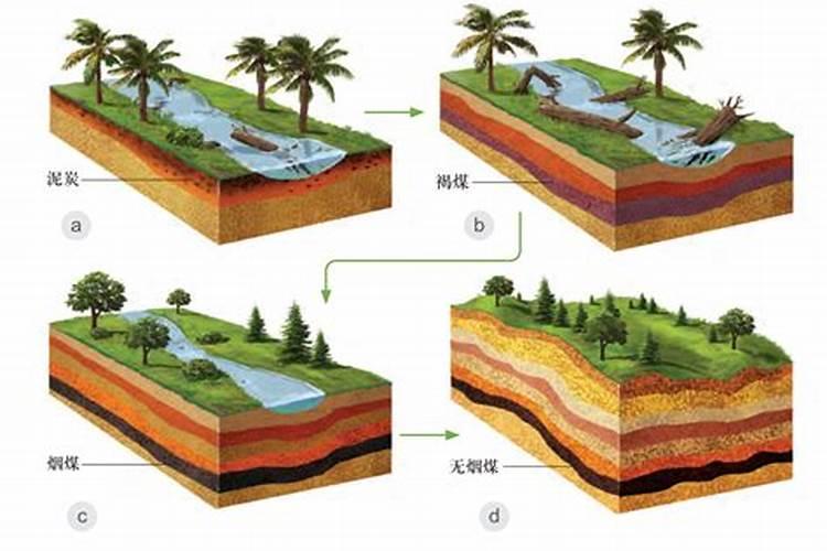 CRISPRCas13系统抗病毒应用