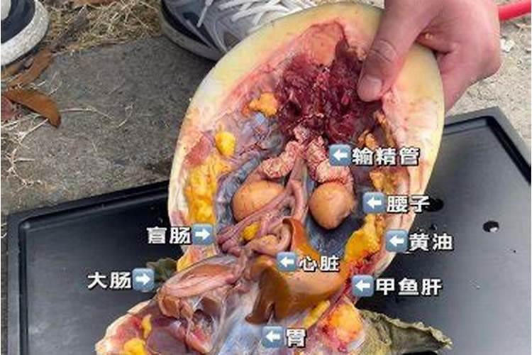 氮磷钾施肥过量,会有什么危害？