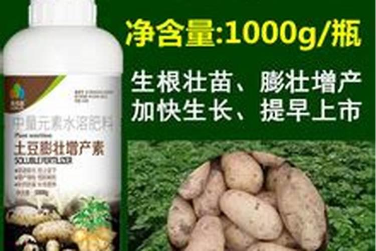 土豆开花后施什么肥料能提高产量