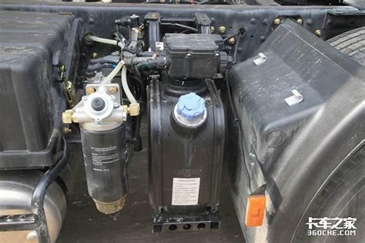 竹子怎样施肥浇水