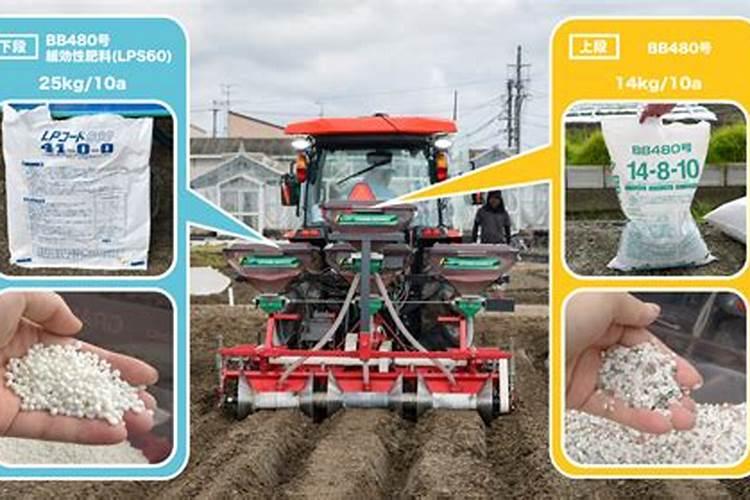 鸟粪能不能直接做花肥