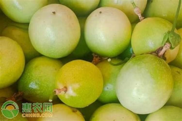 钾肥和硼肥膨大果实适宜比例是多少