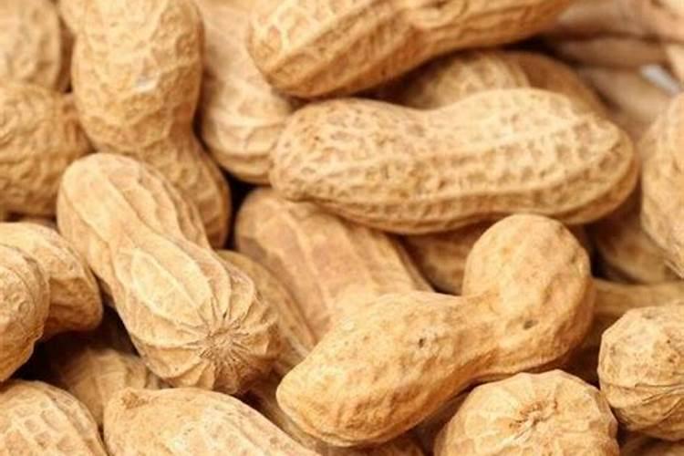 辣椒嫁接怎样防止失水的方法