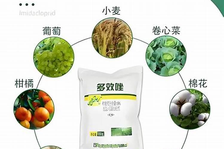 羊角蜜打多效唑可以控制瓜长的过大吗？