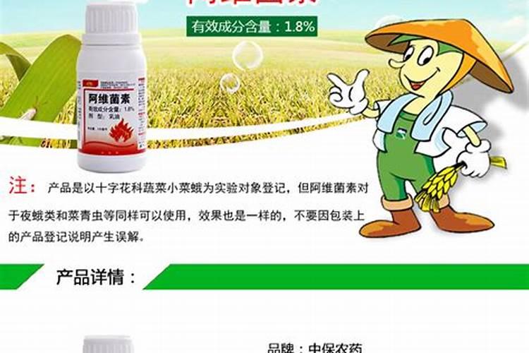 冰封王座中层冒险攻略魔兽争霸3冰封王座的秘籍是什么放过一个技能可以立...