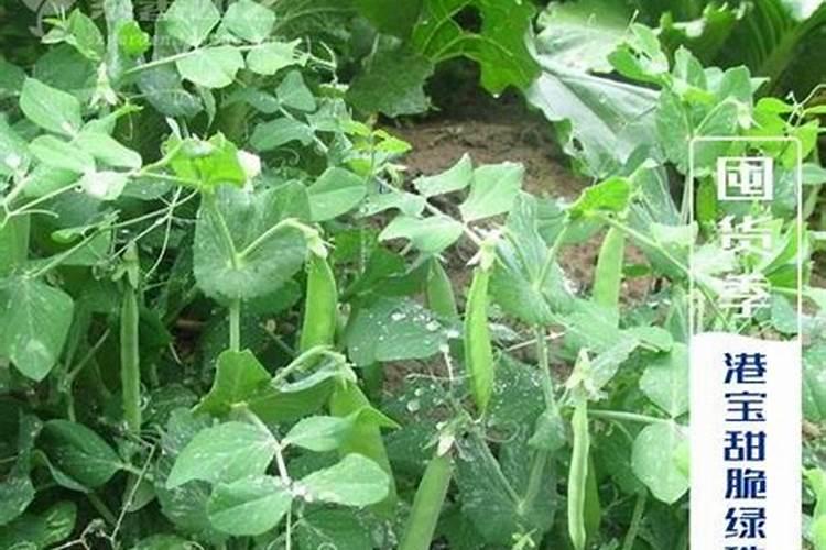 国投新疆罗布泊钾盐有限责任公司企业简介