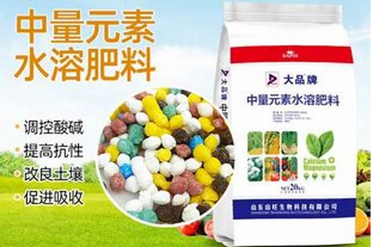 玉米控旺叶面肥有什么优点,施用叶面肥需要注意什么