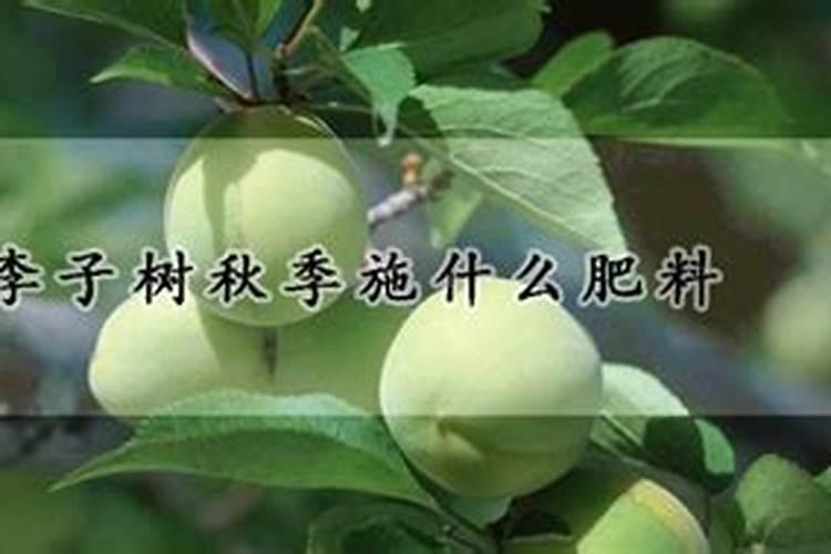 复合肥埋在土里多久会化