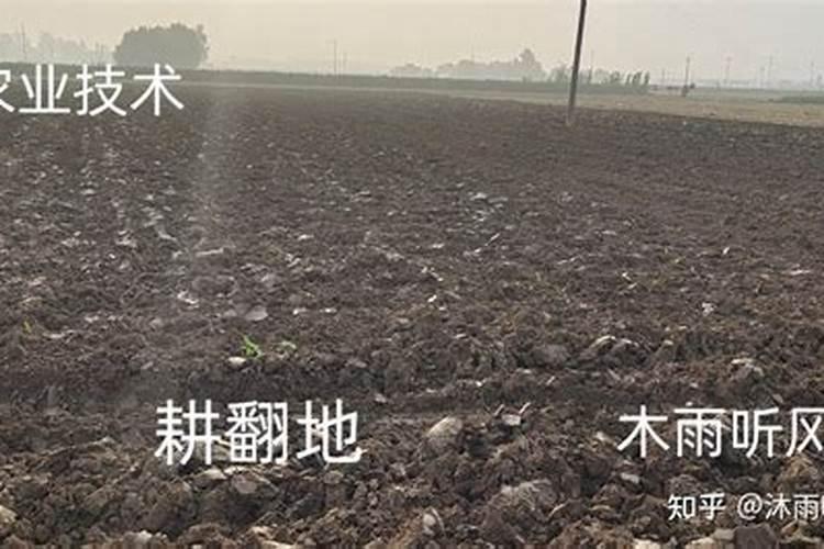 怎么分辨肥土瘦土,肥土瘦土的辨别方法