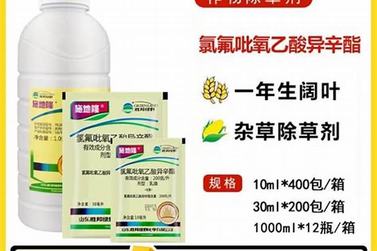 ...膨大需要什么肥料？叶枯叶霉病如何处理？专用叶面肥有哪些品牌？百度...