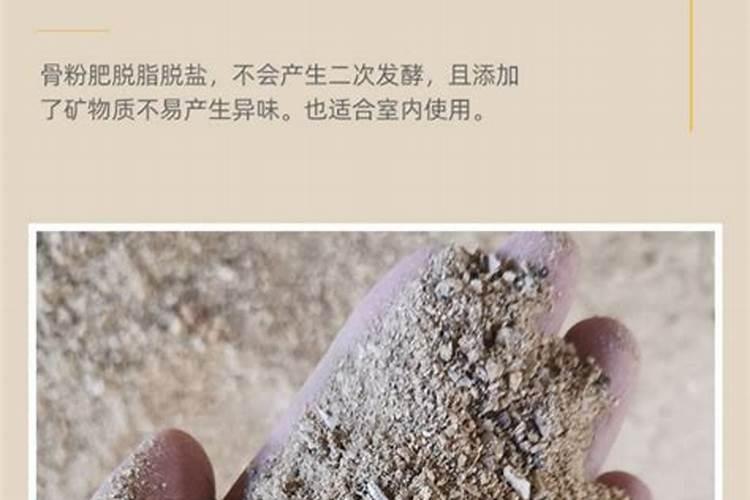 骨粉可以养花吗？