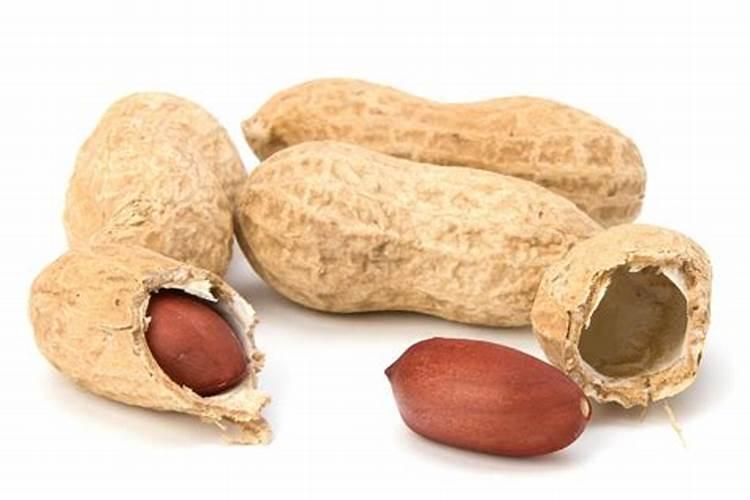 养花买什么肥料最好、绿植用营养液好还是肥料好