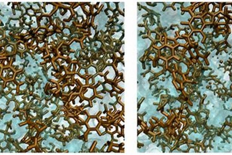 大棚油菜的种植与管理花卉百科