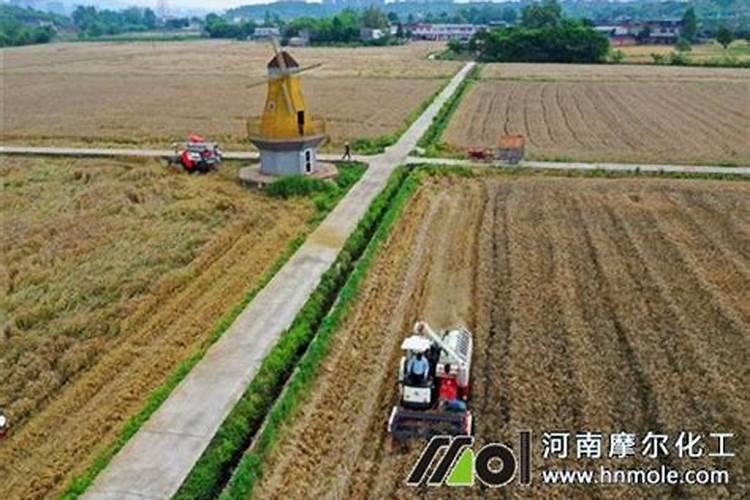 微量元素水溶肥多久用一次 微量元素水溶肥料的适用作物和使用方法百 ...