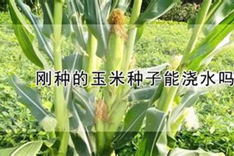 无锡现在有哪些制药厂？