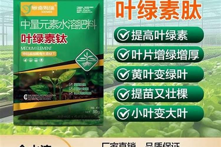 草坪刚割完草,施肥行吗