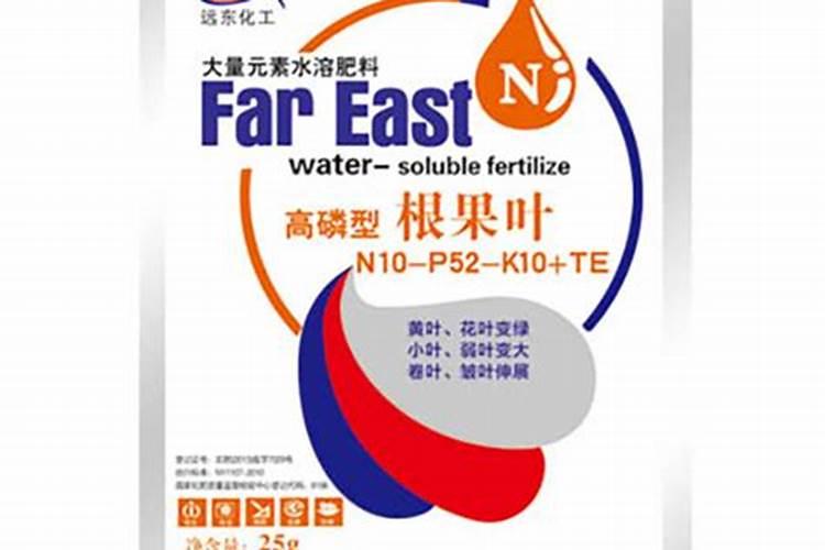 无花果留桩最简单三个步骤