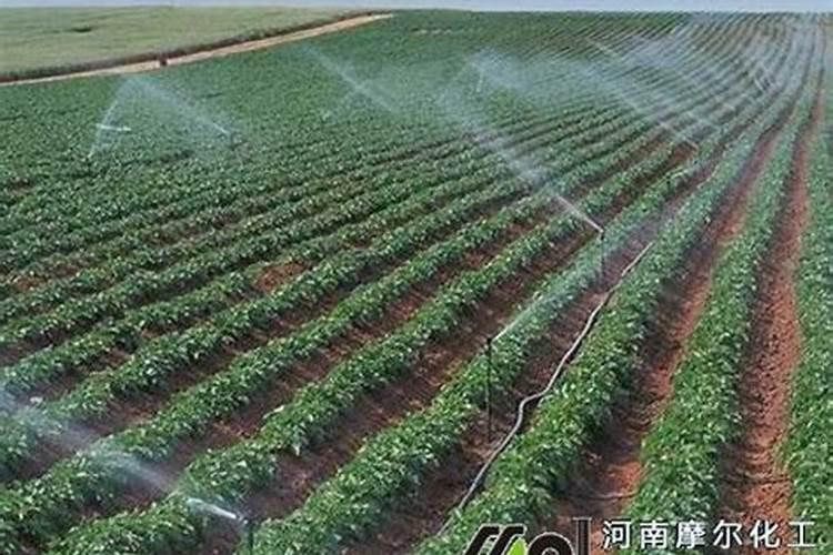 水溶肥价格多少钱一吨