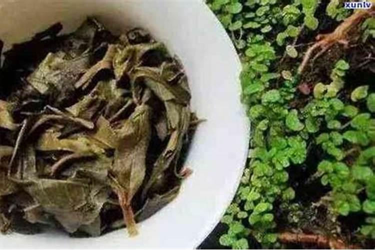 茶叶有机肥料制作方法 怎样自制有机肥？