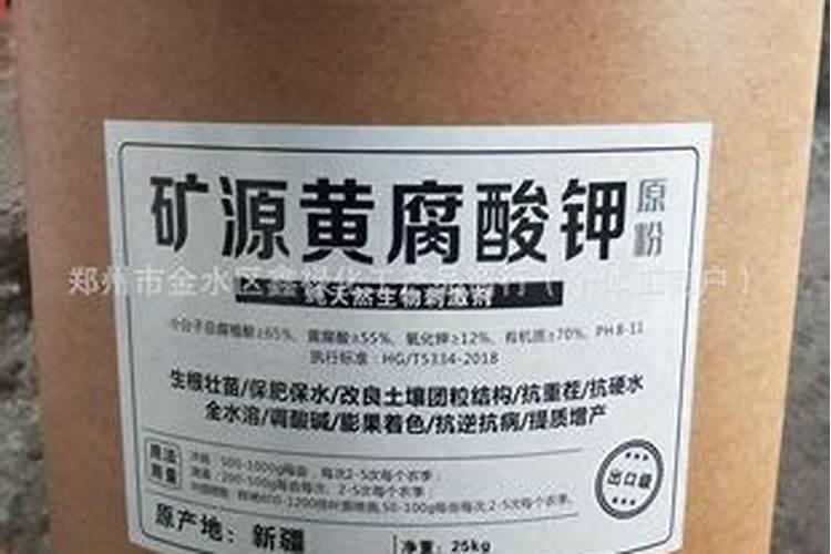 丹东草莓冬天怎么种植 丹东草莓冬天如何种植