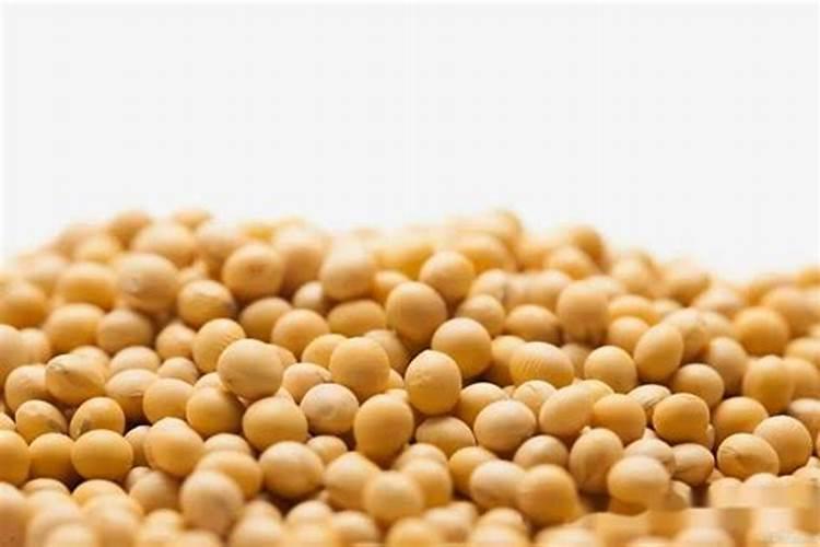 大豆做肥特别简单,有哪些细节需要注意的呢？