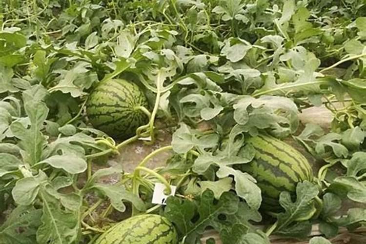 昆明空气净化成套设备厂家