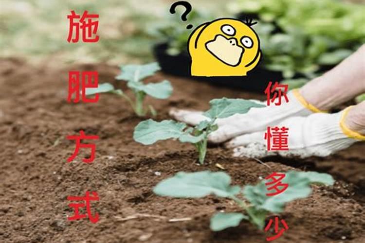 施用氮肥的方法