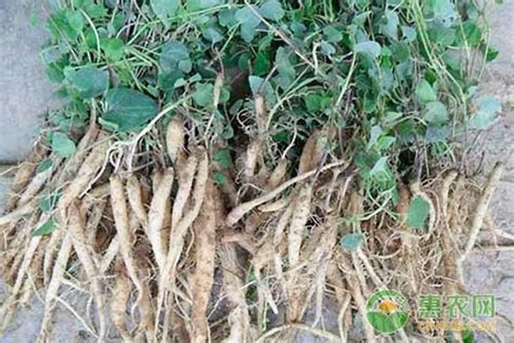 凉开水里的碳酸钙会被喝进去吗