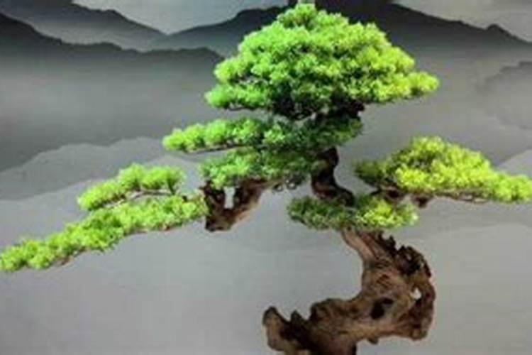 钾肥和氮肥能一起用吗