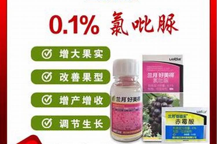 葡萄谢花后施什么肥好 一亩地510公斤