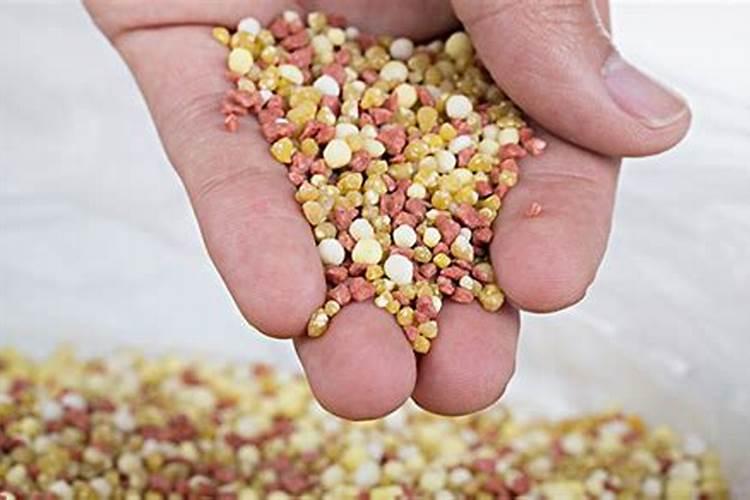 多肉可以施硅肥吗？