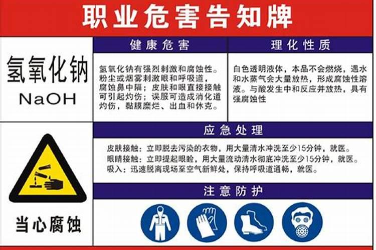 死鱼可不可以做肥料