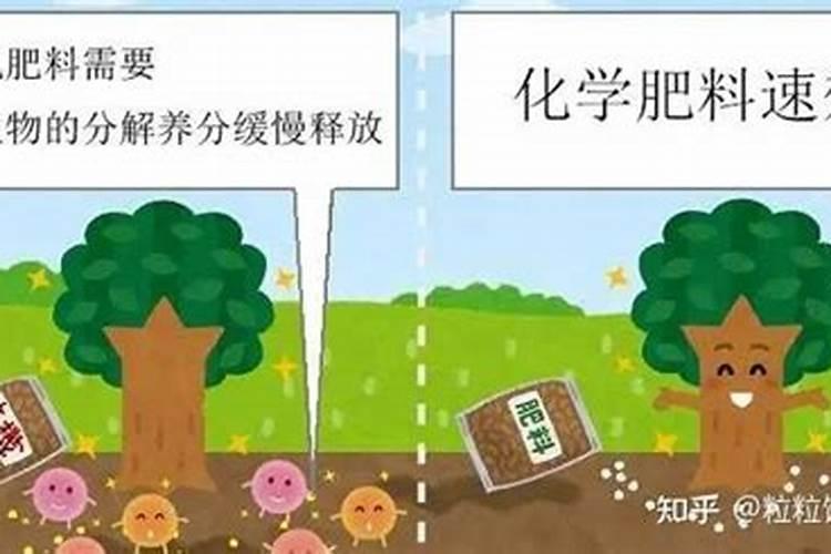 养花酸性肥料有哪些  硫酸二氢钾肥有什么作用