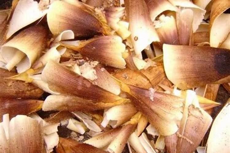 笋壳如何发酵成花肥,笋壳是厨余垃圾吗