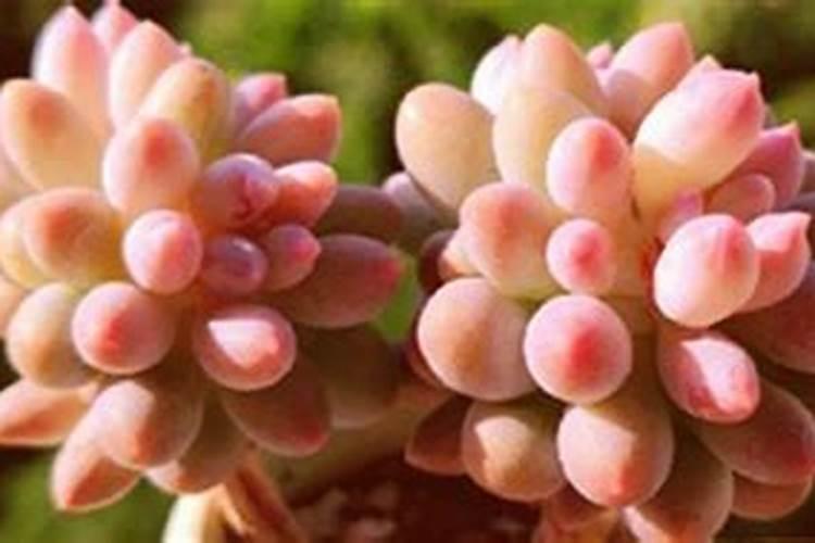 铵态氮肥加稀盐酸有刺激性气味吗