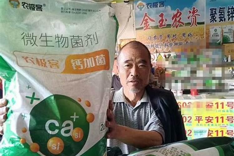 硝酸钾肥料的作用 这三点你知道吗