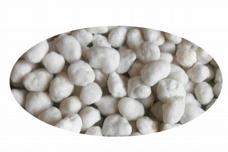 食品公司简介范文大全