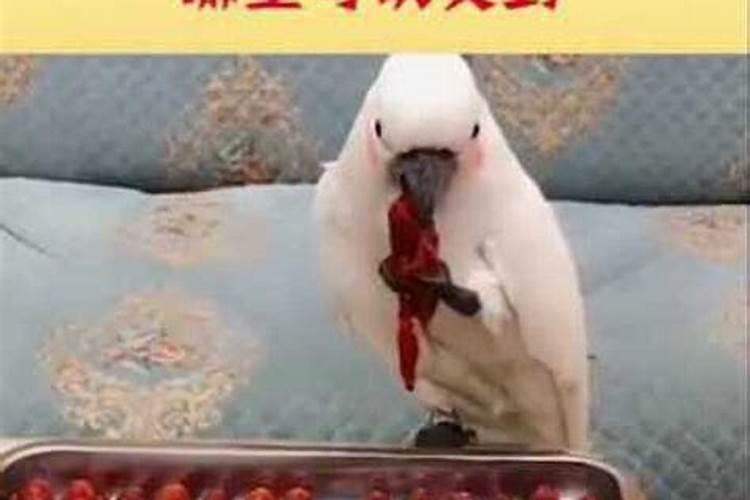 鱼塘下肥碳铵和磷肥怎么用