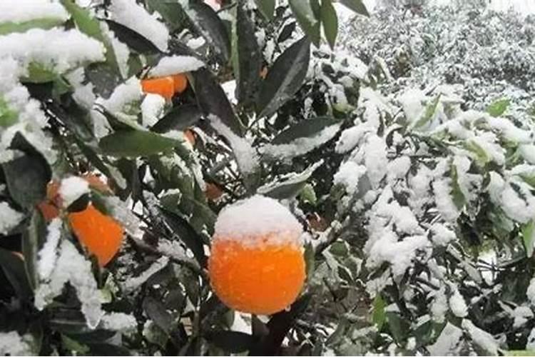 在干旱的情况下,花生喷施叶面肥有效吗？