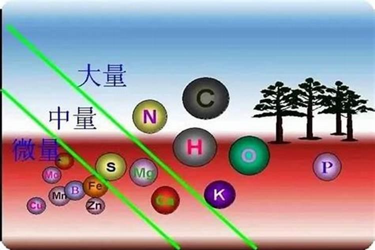 氨基酸钾钙硼可以可什么叶面肥同用