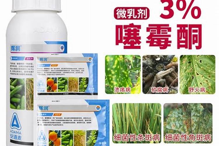 菌肥、菌剂、有机肥、土壤调理剂有什么区别？最详细的介绍