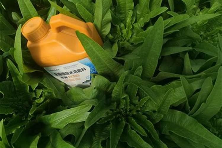 通过标准看腐植酸和黄腐酸