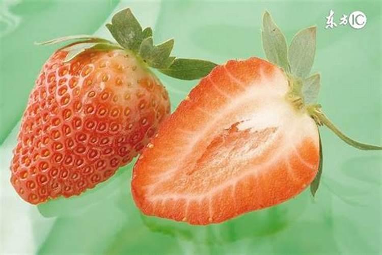 盆栽草莓需要肥吗附施肥方法