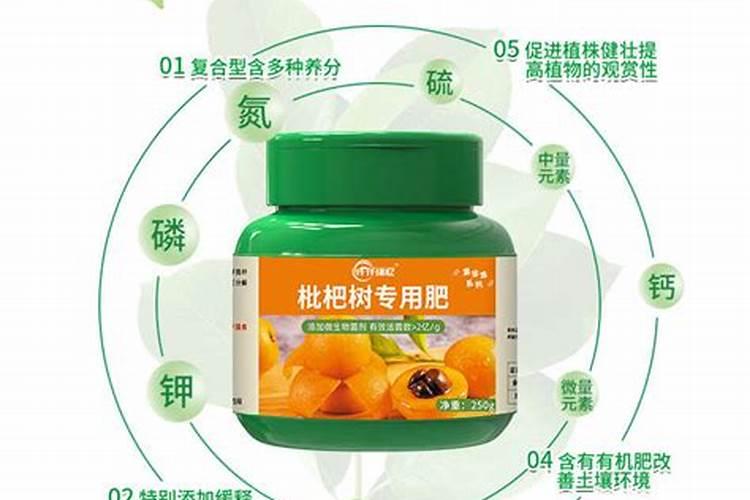 枇杷树每年分几个阶段施肥,每一个阶段该施什么肥？