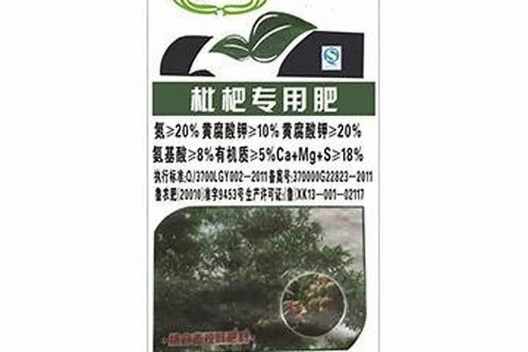 枇杷用什么肥料会让果实更甜