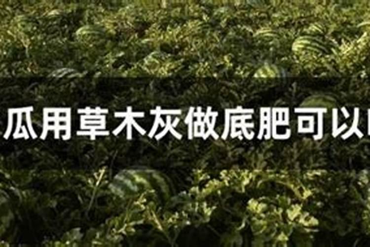 种西瓜用什么肥料最好