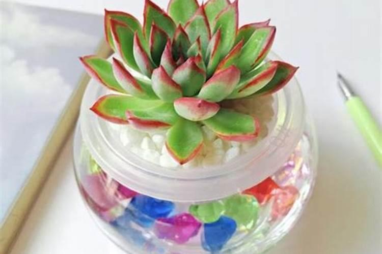 如何让鸡蛋壳变软