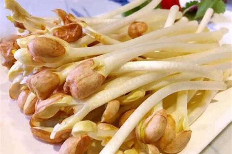 硝酸磷肥有哪些特点？如何使用硝酸磷肥？